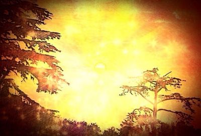 Verso il sole (insieme)