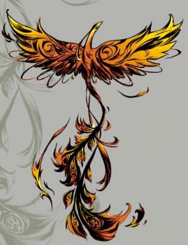 Trasformate vie terrene