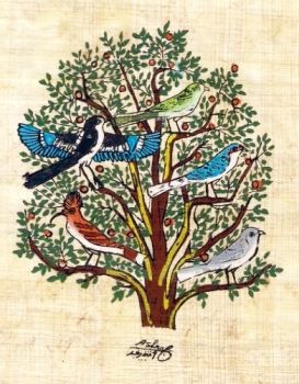 Umane e disturbate afflizioni