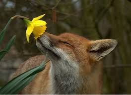 Fino all'anima ancora inquieta