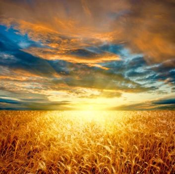 Anime rinate in giovani corpi scolpiti