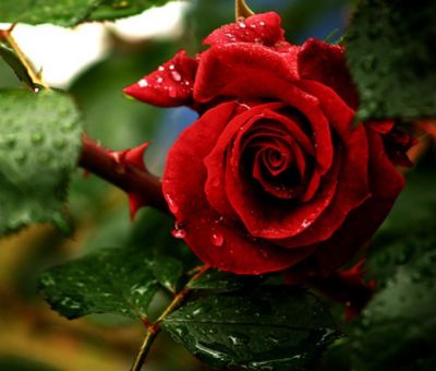 La vita � un attimo disperso nell'eternit�