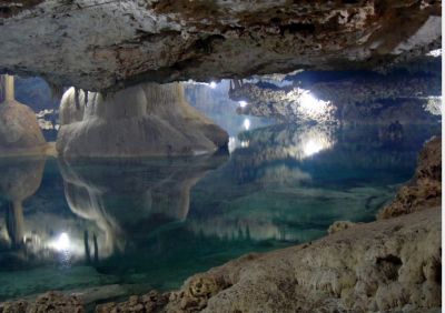 Emozioni come fiori sui prati verdi del paradiso