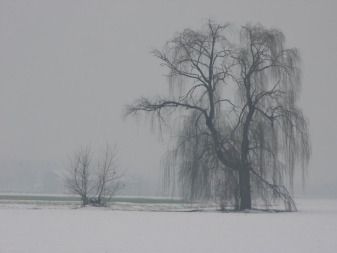 Non era poi cos� importante