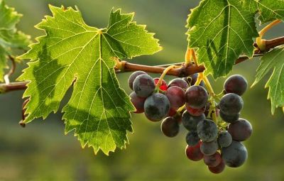 Mattino di settembre