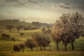 Profumo di primavera