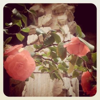 I miei giorni con te