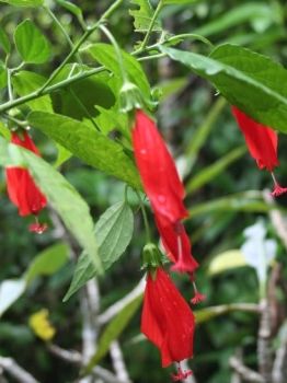 Il viaggio dell’attimo