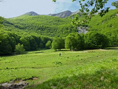 La incantevole fiaba