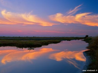 Vestir� il cielo di noi
