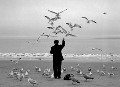 La mia parte della siepe