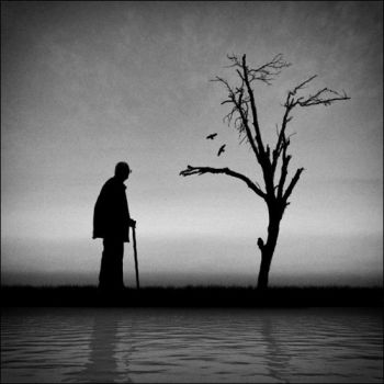 La solitudine dell�acqua