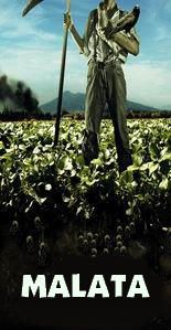 Malata
