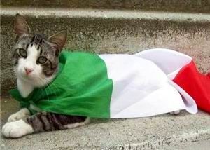 Lettera all�Italia