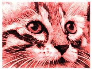 E� tutto nei tuoi occhi