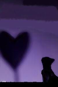 A proposito dell�amore