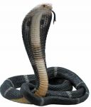 La casa del serpente