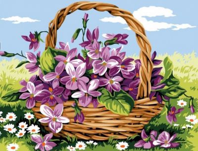 Tra la luce delle viole