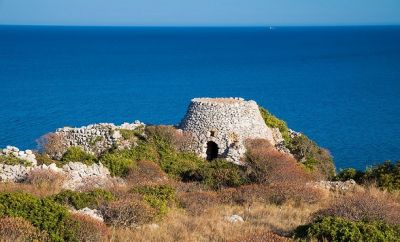 Gente che non ho mai amato