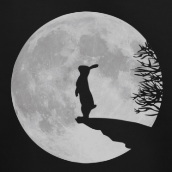 Ad un poeta solitario