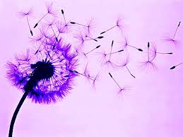 Pi� alcun desiderio