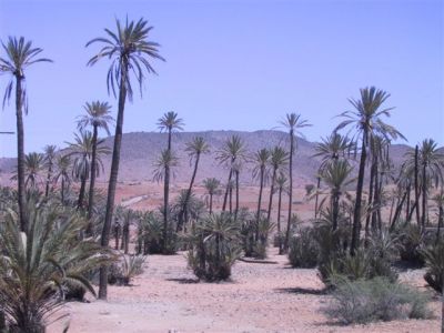 Il sentiero della vita