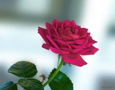 Pensieri... in cammino