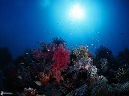 Profondit� infinita