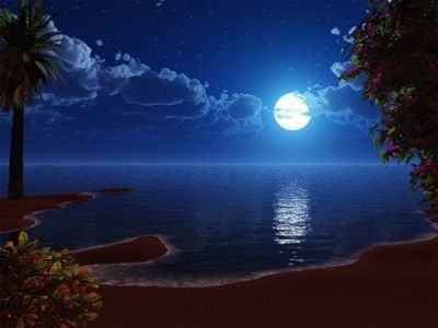 Raccolgo margherite di sogni