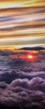 Vivr� della tua luce