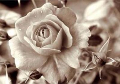 Tra le sorgive indomite