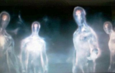 Il multiforme essere