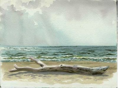 Di fronte ad un�acqua che schiuma gli umori