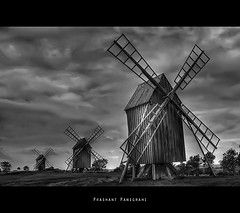 Uno di questi giorni