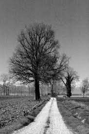 Ultimo Viaggio in Autunno