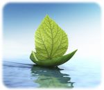 Vita... un secondo e via