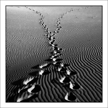 Ci incontreremo... prima o poi