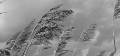 Lettera all'assassino