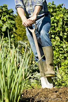 Ruotando il mistico pensiero