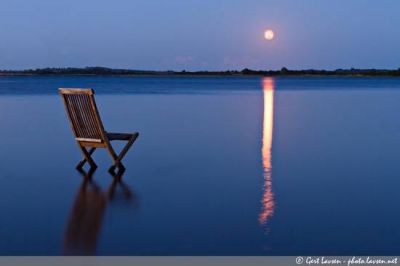 Il poeta che viene dal mare