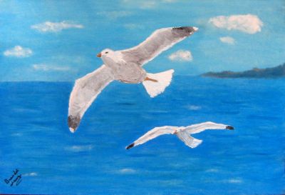 Marzapane e voli di gabbiani