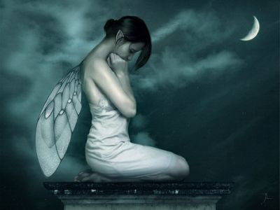 Sogno di una notte di mezza estate