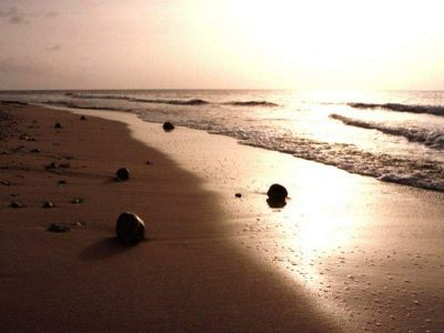 Come giorni di settembre