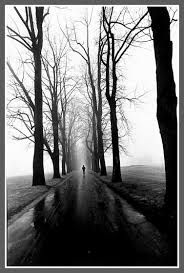 Nel movimento del cuore