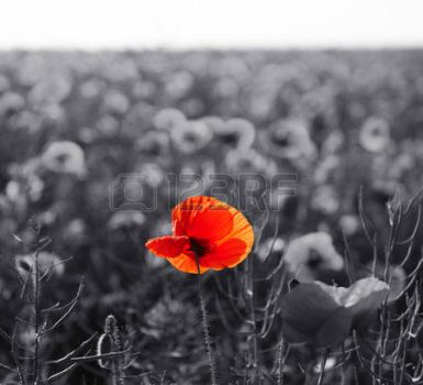 Non porre ostacoli al tuo sentire