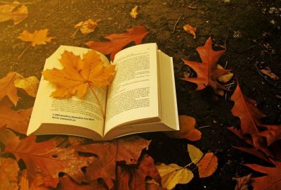 Coloro il nulla di poesia