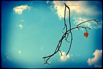 Mille anni di te con me