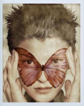 La notte ha ali di cristallo