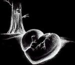 Non c'� tempo per odiare