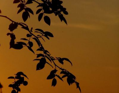 Stagioni di silenzi e di martiri